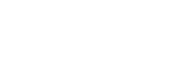 Selenia Academy